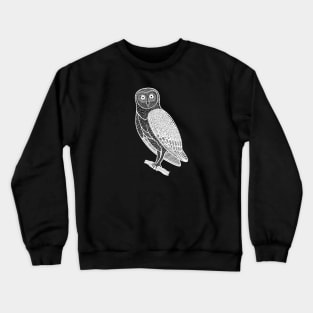 Barn Owl - detailed hand drawn bird design Crewneck Sweatshirt